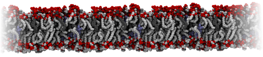 Membrane
